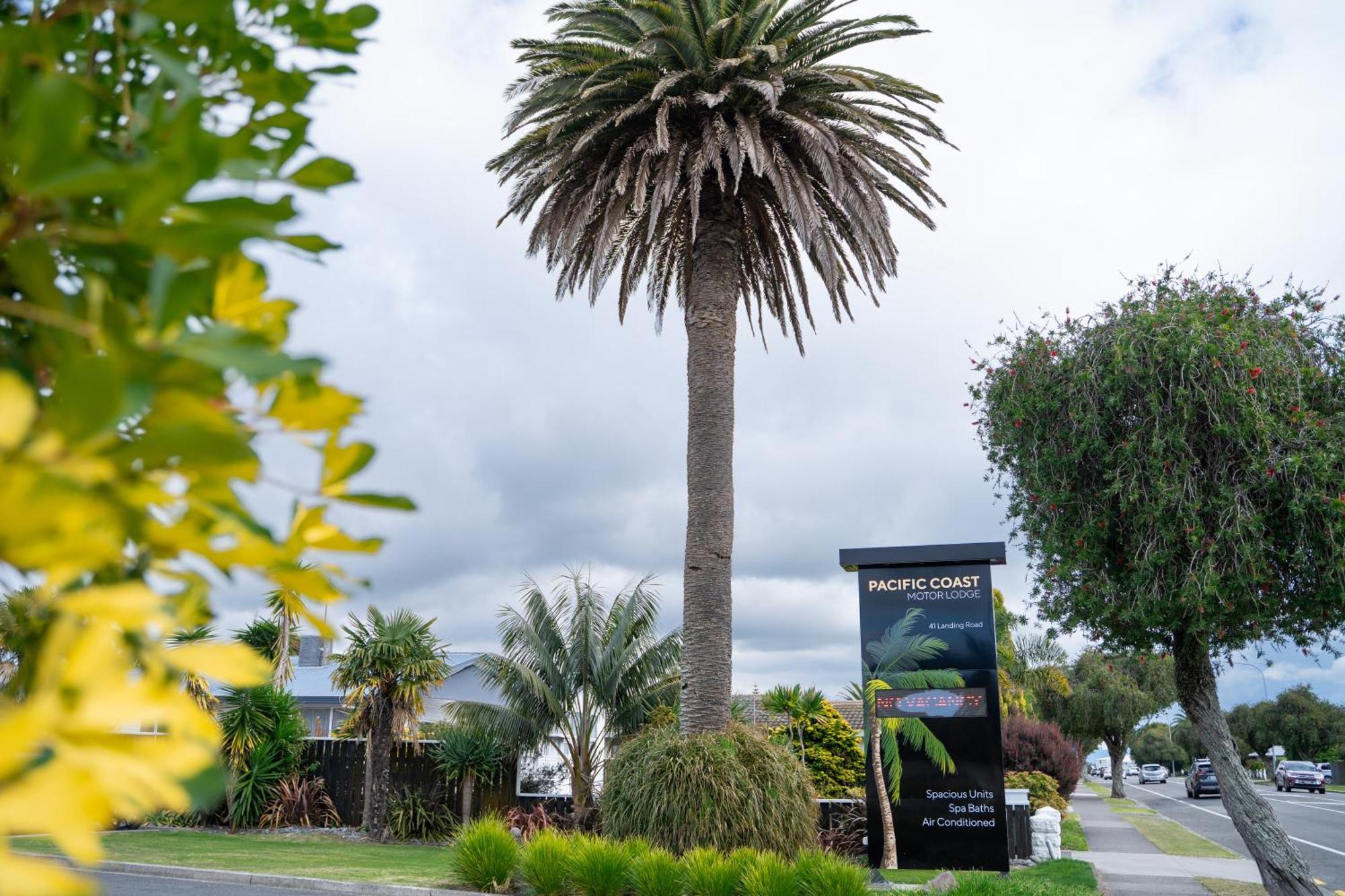 Pacific Coast Motor Lodge Уакатане Экстерьер фото